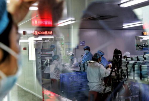 五年助推50個億級新品牌，拼多多新品牌計劃引領化妝品國貨崛起